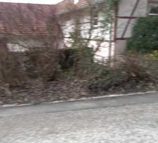 Freiwillige Feuerwehr Böttingen