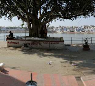 Panorama Blick auf Pushkar Lake
