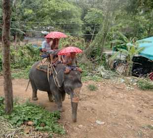 Elefantentrekking