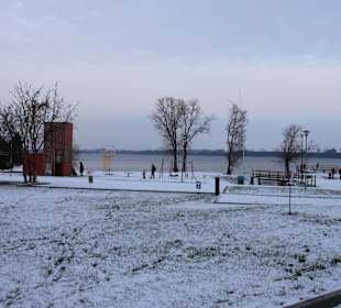 See Żnińskie Duże