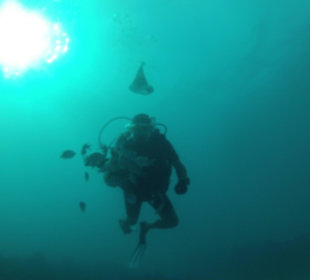 Guckst du , da kommt der Weihnachtsmann