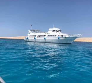 Super gepflegtes Boot