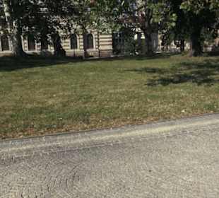 Altstadt - Rund um das Terrassenufer