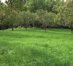 Hochgehnießen - Premiumspazierwanderweg