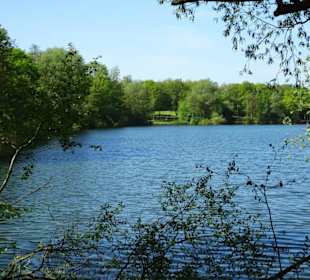 Spaziergang um den Sodenmattsee