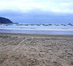 Rundgang Puerto Lopez