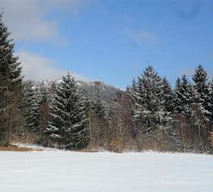 Blauer Himmel und Sonnenschein im Winter.