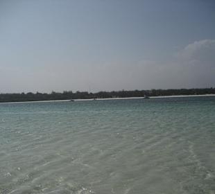 Sandbank bei Ebbe