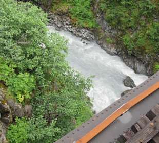 Mit der Train in der Natur Alaskas