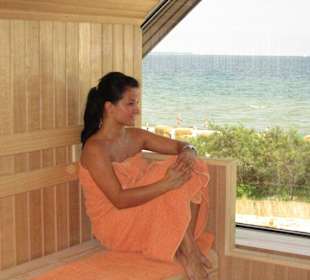 Panorama Sauna
