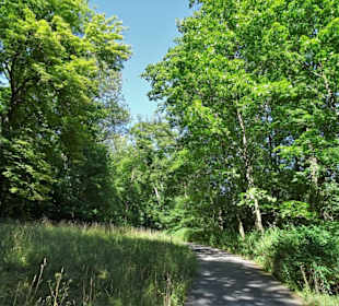 Spaziergang durch den Hofgarten Coburg