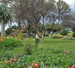 Spaziergang durch den Parque de Santa Catarina