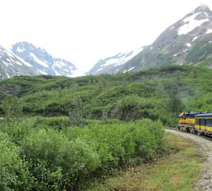 Mit der Train in der Natur Alaskas