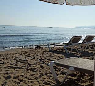 Strand Stalis