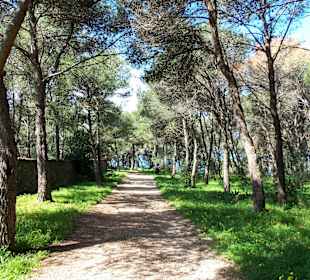 Wanderung im Naturpark Porto Salveggio