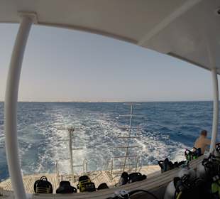 ORCA Dive Club Soma Bay 