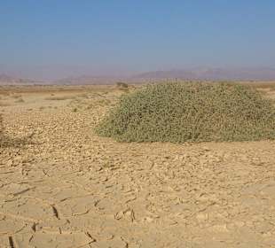 Fahrradausflug in die Wüste