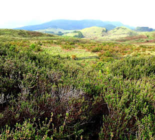 Inselrundfahrt Terceira