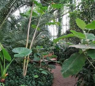 Rundgang durch das Tropenhaus Klein Eden