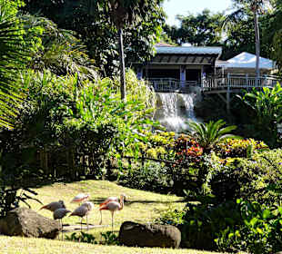 Restaurant über dem Wasserfall