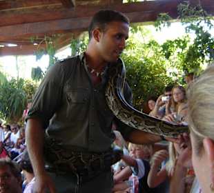 Reptilienshow im Oasis Park