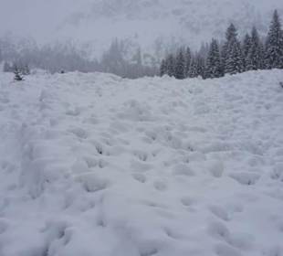 Der Lawinenabgang im Januar