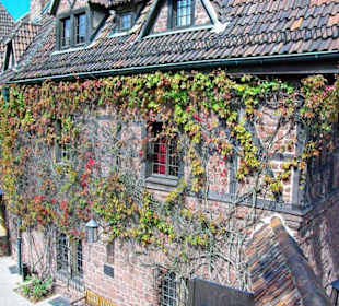 Die Wartburg