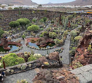 Jardin de Cactus / Kaktusgarten Guatiza
