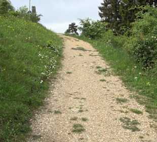 Kreuzweg St. Anna Salmendingen