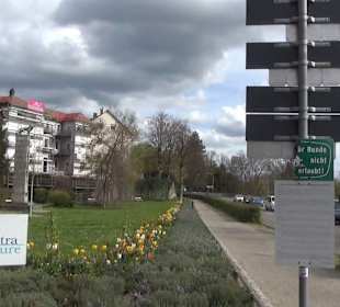 Bürgerpark Offenburg