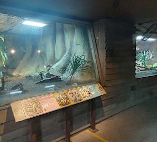 Singapur Zoo