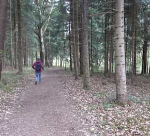 Vitus Mayer Waldlehrpfad