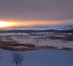 Was für ein Blick...!
