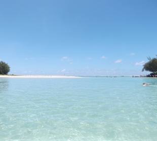 Die Insel Lile aux Cervs