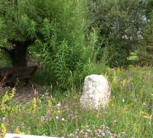 ALB-GOLD Naturgarten