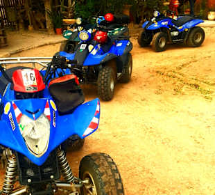 Quad Tour Mahdia