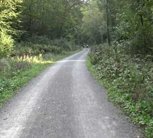 Wanderung Kirnberg-Runde Bebenhausen