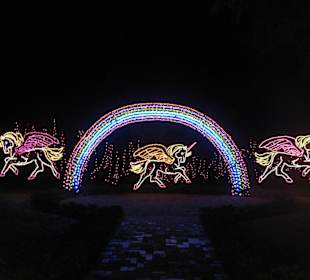 Magic Christmas in Lights