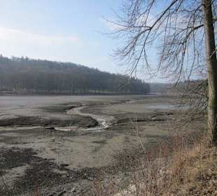 Leerer Konopiste See