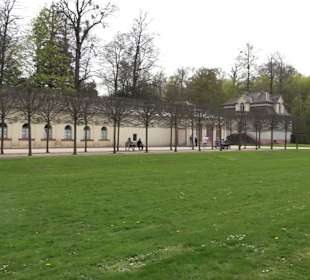 Orangerie Schloss Favorite