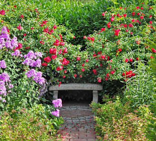 Eindrücke vom Rundgang durch den Park der Gärten