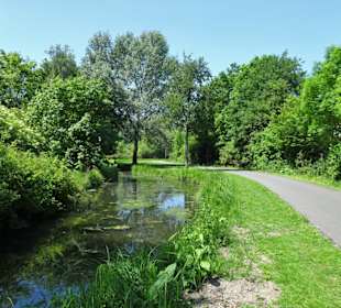 An den Fleeten des Krimpelsees