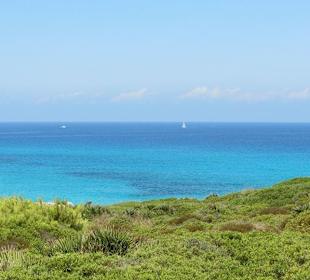 Oberhalb des Strandes...