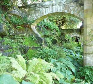 Im Garten