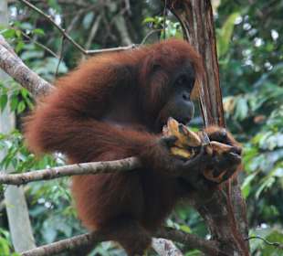 Schnell es was zu essen organisiert