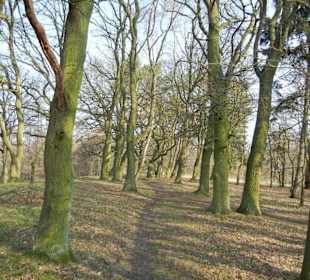 Wunderschöne Boberger Niederung