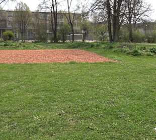 Hain der Kulturen