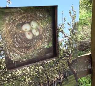 Naturerlebnisweg des NABU-Metzingen