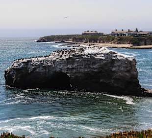 Santa Cruz Natural Bridges State Beach
