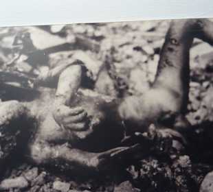 Bilder die aufrütteln und betroffen machen